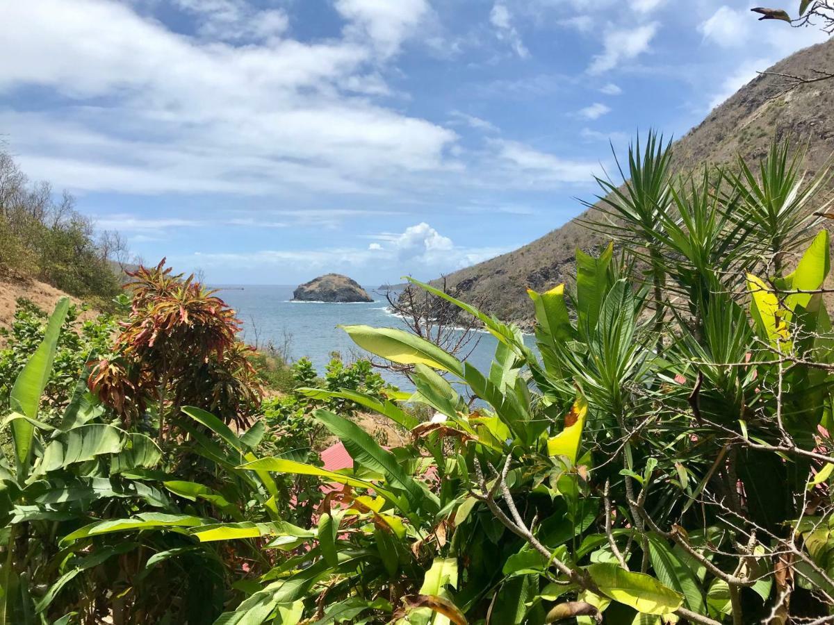 Villa Figues Et Mangos Terre-De-Haut Luaran gambar