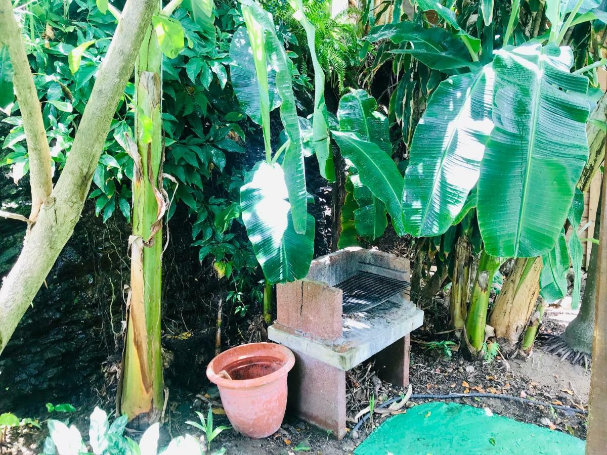 Villa Figues Et Mangos Terre-De-Haut Luaran gambar