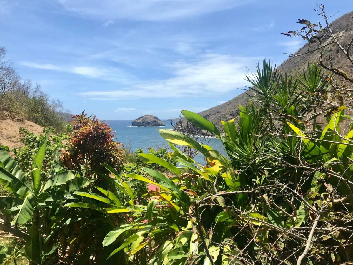 Villa Figues Et Mangos Terre-De-Haut Luaran gambar